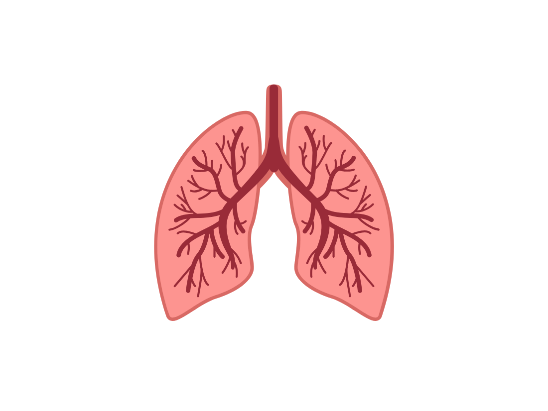 Lung Cancer icon